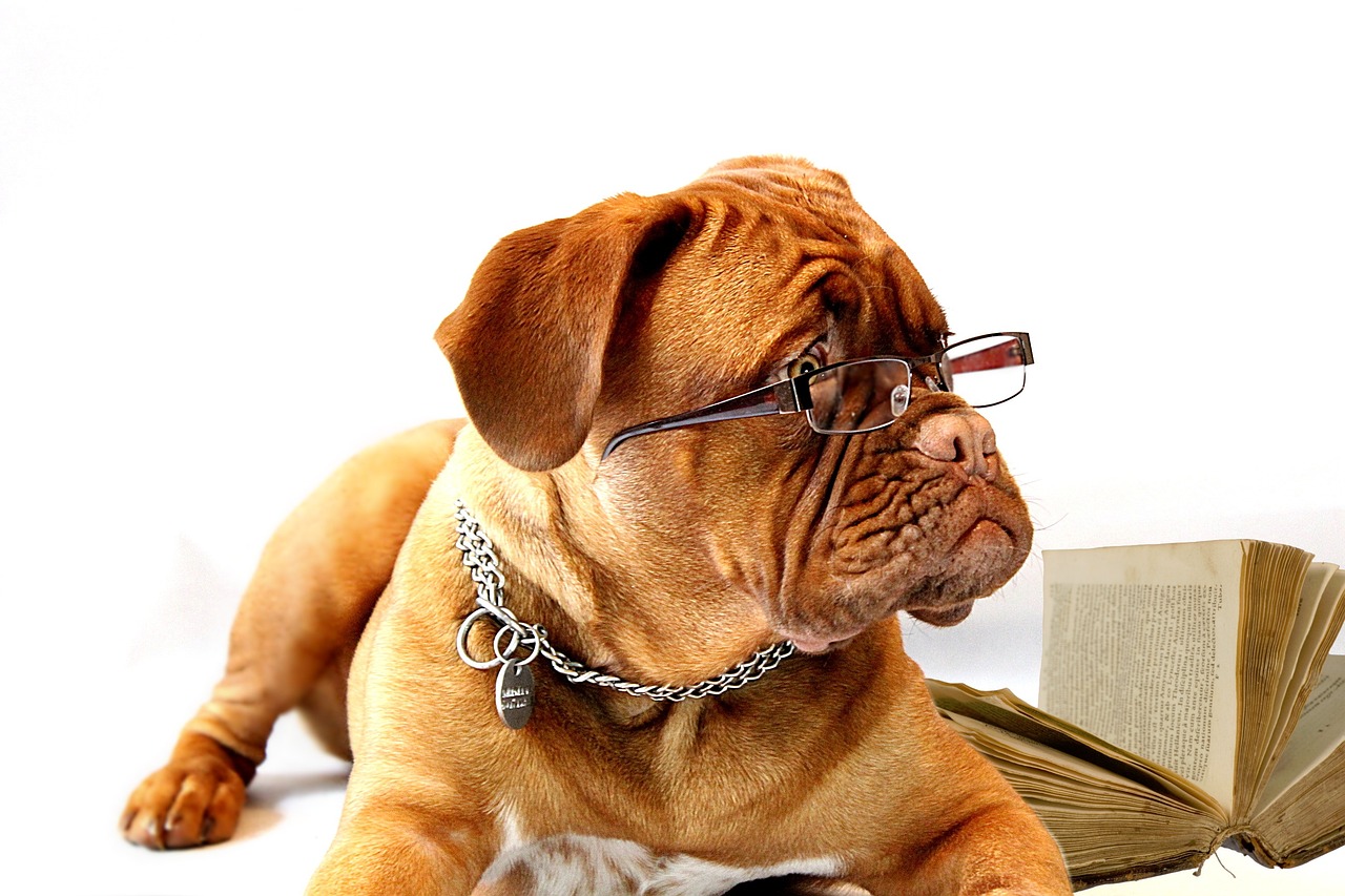 Study online